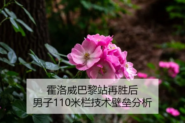 霍洛威巴黎站再胜后 男子110米栏技术壁垒分析